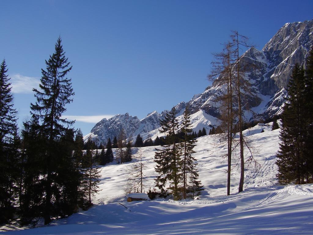 Appartementhaus Hochkoenig 1 - Alpenrose Muhlbach Am Hochkonig Exterior photo